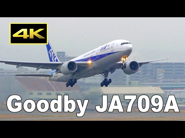 4K] Goodby ANA Boeing 777-281(ER) [JA709A] - ferry flight from