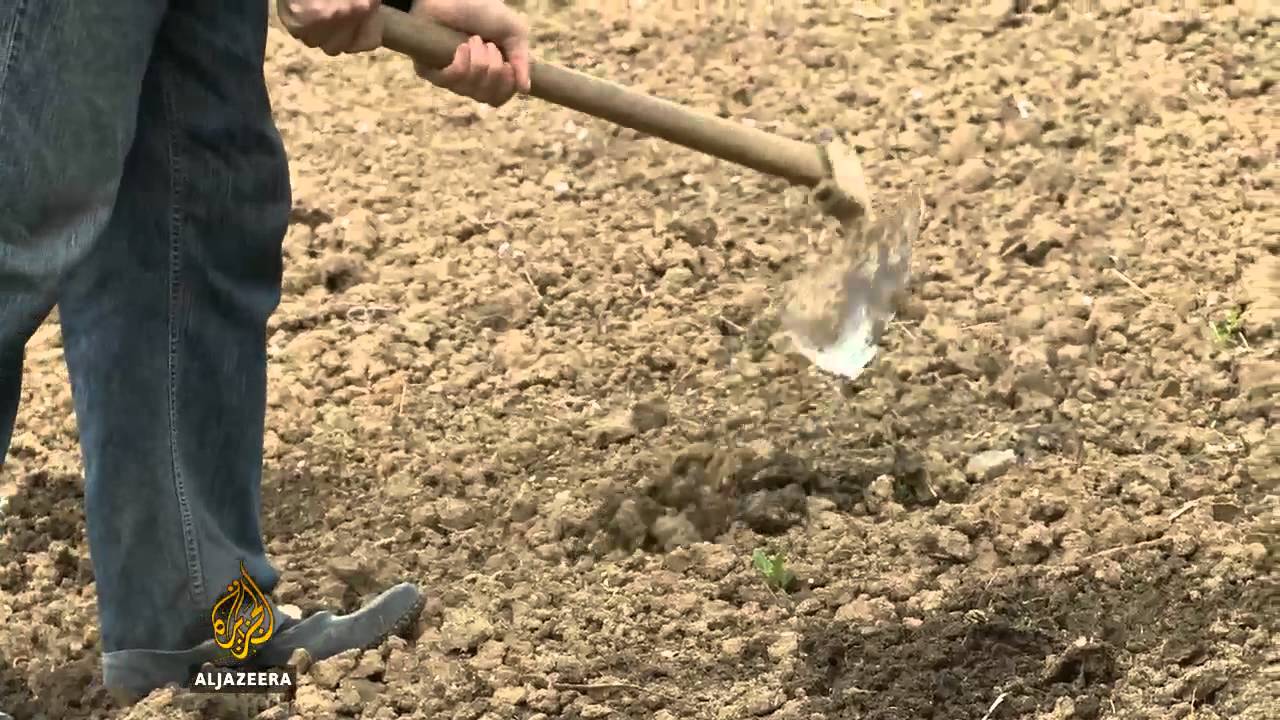 الحياة في منزل شخص آخر - قناة الجزيرة البلقان