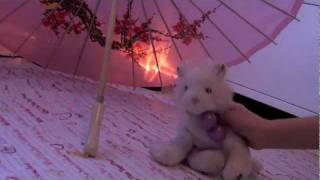 Webkinz Sing Off