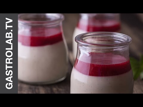 DOLCISSIMO - Panna Cotta with Berry Sauce || GastroLab