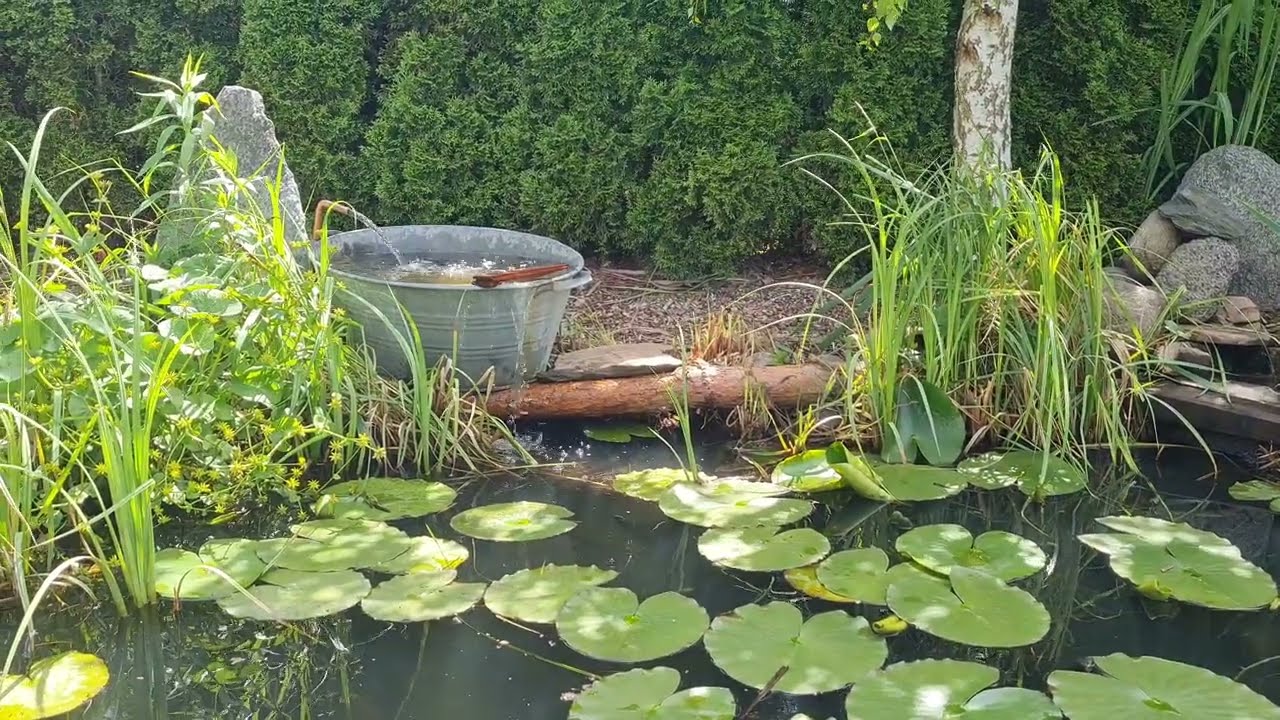 Zmiana kaskady w oczku...