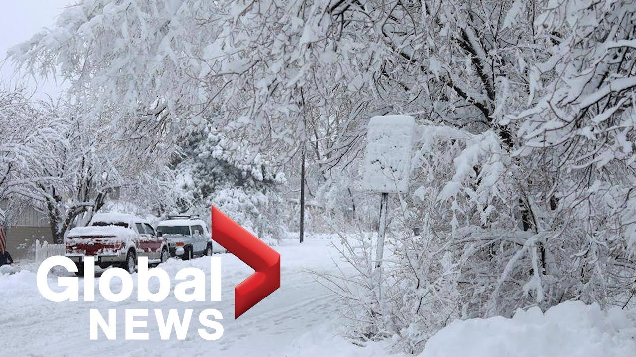 Winter storm watch underway for multiple parts of Canada - YouTube