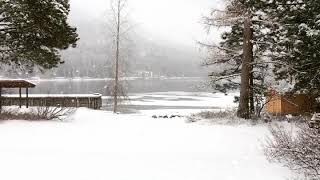 Flbs Moment Arctic Blast - 1123Am - February 5, 2019