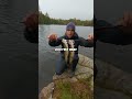Campfire Trout