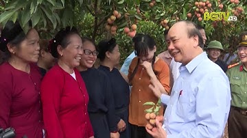 Thủ tướng Chính phủ thăm vùng vải thiều Lục Ngạn