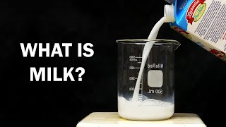 What is Milk made of?