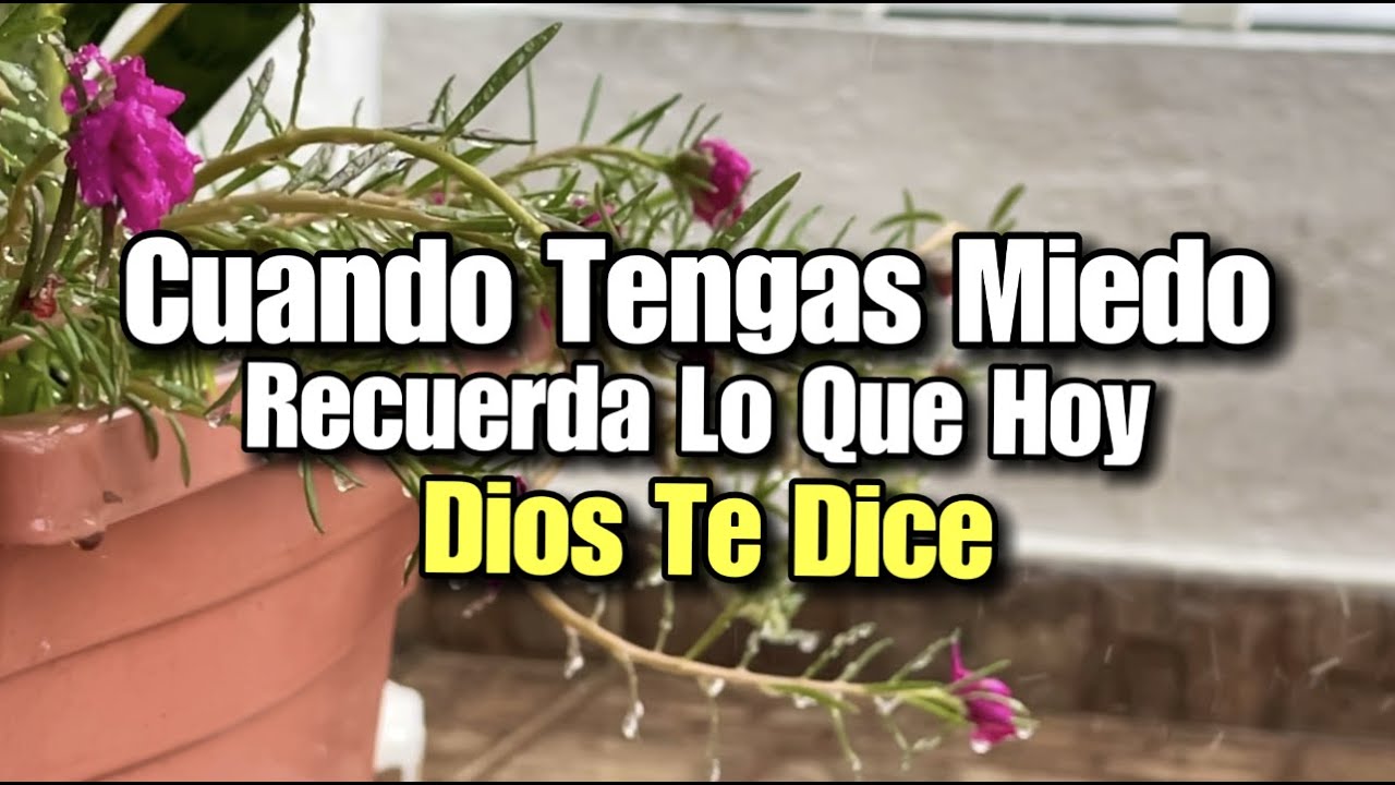 Cuanto tengas miedo recuerda lo que hoy Dios te dice - YouTube