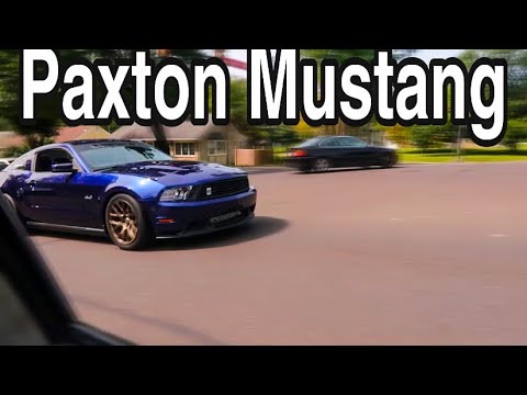 Paxton Supercharged Mustang