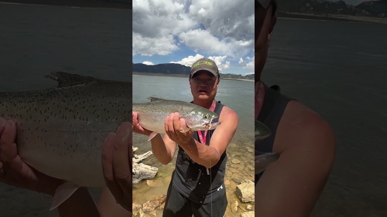 Turning This Fish Into A Delicious Meal: It Is Simply Magic: Eleven Mile Reservoir. #fishing #shorts