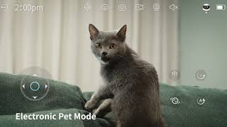 A Smart Companion Robot For Your Pet --- Enabot EBO Air Promotional Video by Enabot 7,449 views 1 year ago 58 seconds