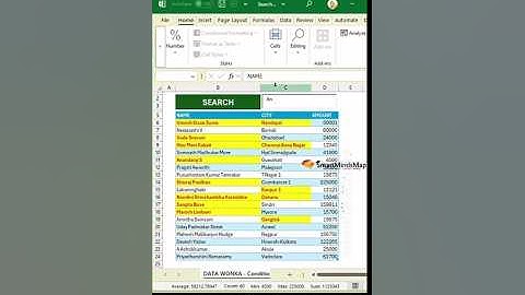 Revolutionize Your Excel Skills! ✨ Conditional Formatting+ Search Bar + Automation 🚀 #exceltips