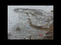 Air Bubbles Flowing Under Ice