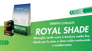 Semi Per Prato ROYAL SHADE PLUS Bottos - Per Zone Ombreggiate - 1Kg Per 40mq - Made In Italy - Foto 2