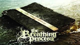 Watch Breathing Process The Living Forest video