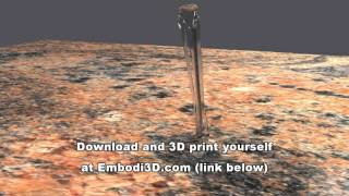 3D Bioprinting Model of Tibula Fracture, Fibula and Rod Demonstrating Intramedullary Nailing