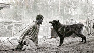 A Black Slave Escapes A Horror Plantation To Freedom In 1863