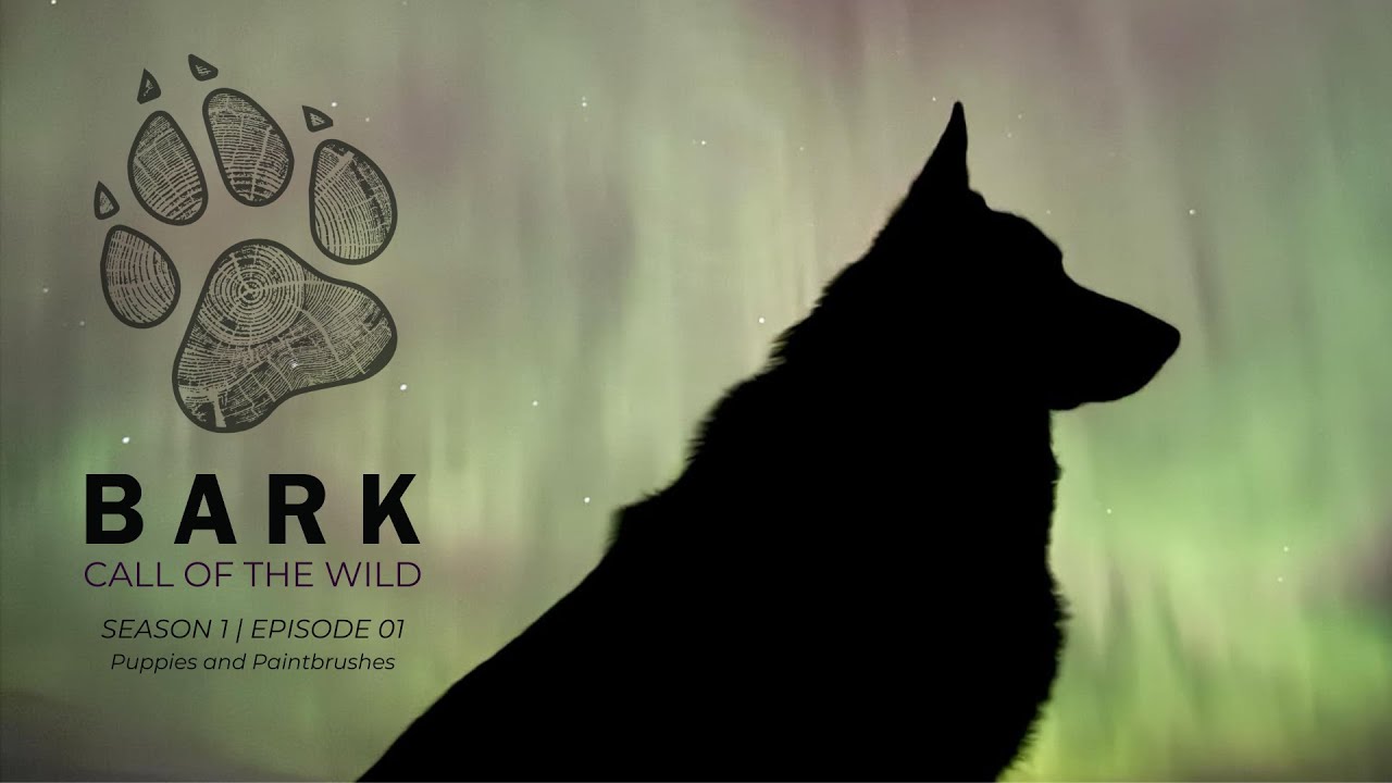 BARK: Call of the Wild S1 Ep 01