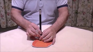 Wand to Flower - Flower Stem Is Produced From Magic Wand