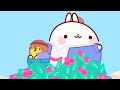 Molang 🍭Najlepsza matka 🍭 Zabawne Kreskówki Dla Dzieci 🍿 Super Toons TV Po Polsku