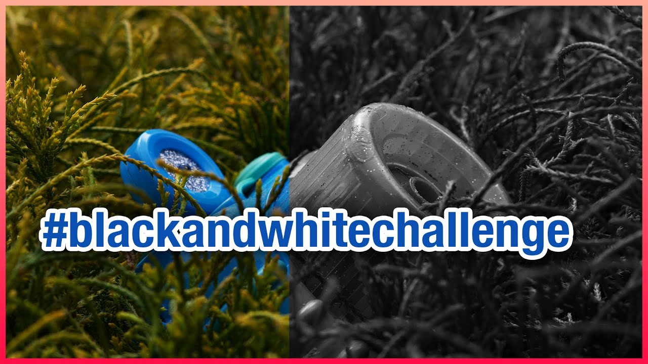 Black And White Challenge YouTube