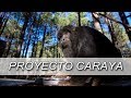 PROYECTO CARAYA | LA CUMBRE | CÓRDOBA | CORDOBÉS POR EL MUNDO