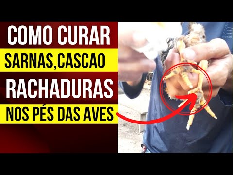 Vídeo: O pé de galinha muda o torque?