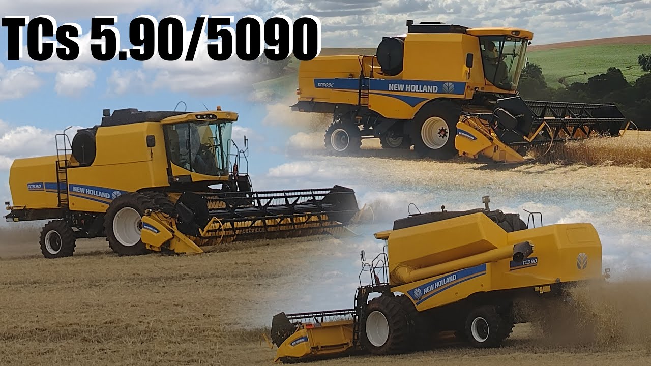 New holland TC 5.90 e TC 5090 colheita do trigo 2021