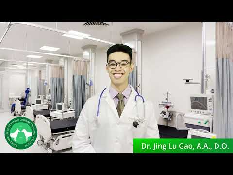 Shiitake Mushroom Allergy Treatment