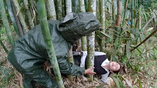 The girl went into the forest to collect firewood and was helped by a young man