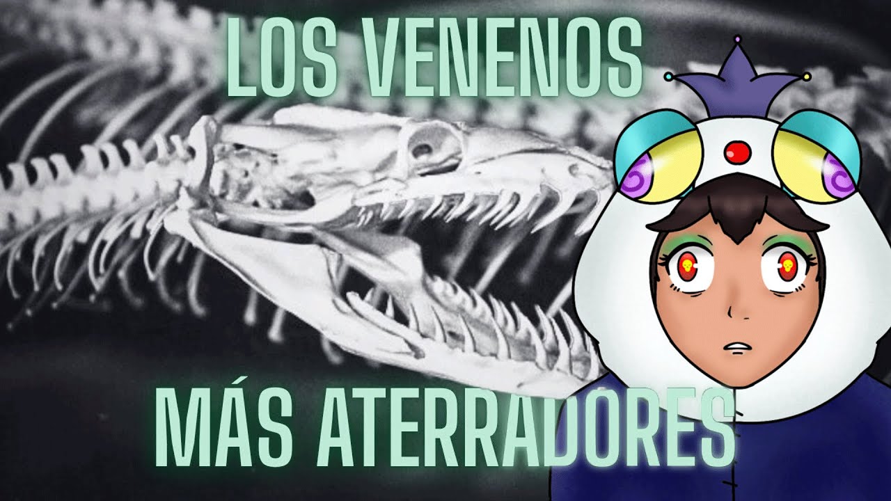 Bunny Blasty reacciona a 