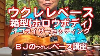 Donner DUB-1 Ukulele Bass - Product Review - / BJ's Ukulele Lesson
