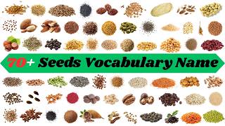 70+ Seeds Vocabulary Name with Pictures in English || Seeds Names || @NearEducationOfficial