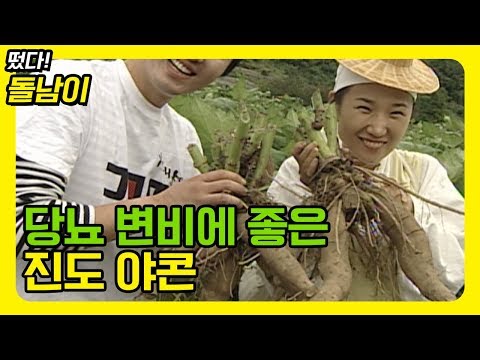 식이섬류가 풍부해 다이어트에 좋은 <strong>야콘</strong> [떴다돌남이]