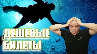 Сайты мошенников по продажам билетов самый разгар сезона отпусков - новый всплеск мошенничества