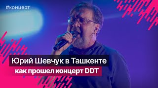 Концерт группы DDT в Ташкенте 2024 @officialddt