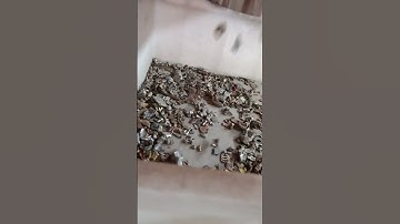 Color sorter selects rubber impurities from aluminum blocks #ricecolorsortermachine #farming