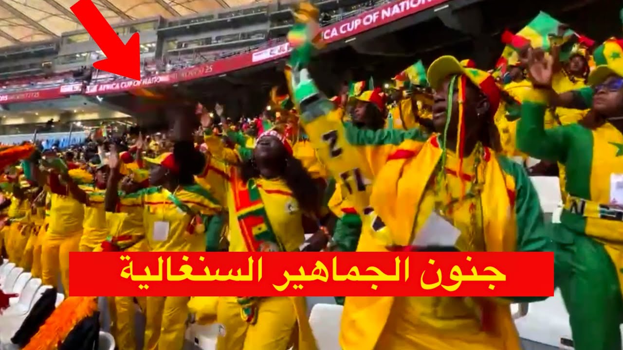 جنون و احتفال الجماهير السنغالية 🇸🇳 بعد فوز السنغال على بوتسوانا 