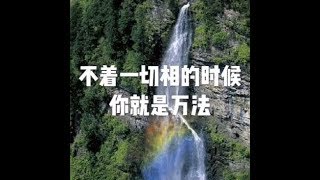 201710 不着一切相的时候 你就是万法22625
