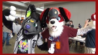 Anthrocon 2017 Highlights | Bolt and Beagle