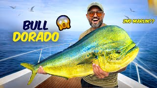 GIANT Dorado of the Season | Second Marlin Catch? | Extreme Fishing Adventure 😱🎣