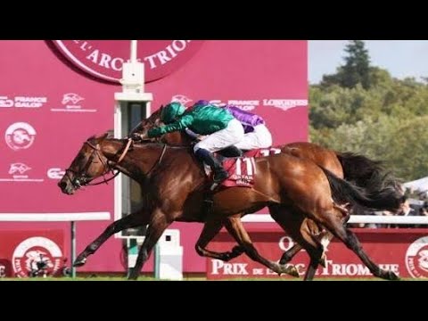 武豊「これ以上強い馬がいるのか」ディープインパクト【天皇賞(春)2006