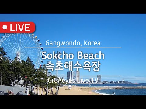 속초실시간 속초해수욕장 Live Cam I "Sokcho Beach", Gangwondo,Korea I 여름휴가 해변 밤바다 바다경치 강원도여행 오션뷰 속초아이