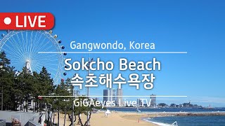 속초실시간 속초해수욕장 Live Cam I "Sokcho Beach", Gangwondo,Korea I 여름휴가 해변 밤바다 바다경치 강원도여행 오션뷰 속초아이