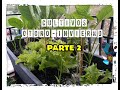 Cultivos Otoño-Invierno 2019-2020/Parte 2/Asociación De Cultivos/Mi huerto en el balcón