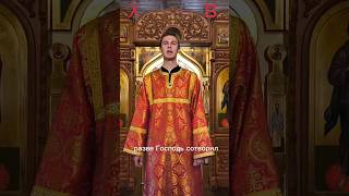 11 сентября 2025 г.