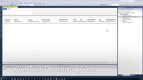 SQL Server SSRS Report Data Window Problem