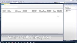 SQL Server SSRS Report Data Window Problem
