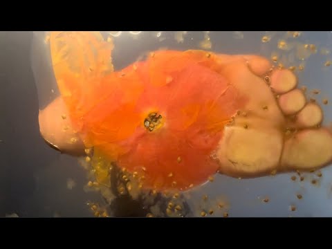 ASMR/ crunchy and squeezy triggers ￼😇😴