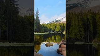 Painting a Hyper-Realistic Lake #satisfying #painting #artlessons