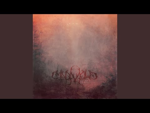 Mind Mold — Antipath